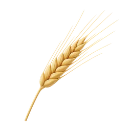 Barley