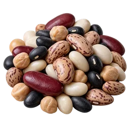 Bean