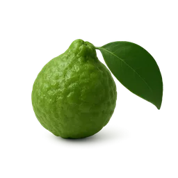 Bergamot (Citrus bergamia)