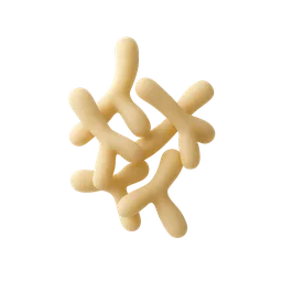 Bifidobacterium longum