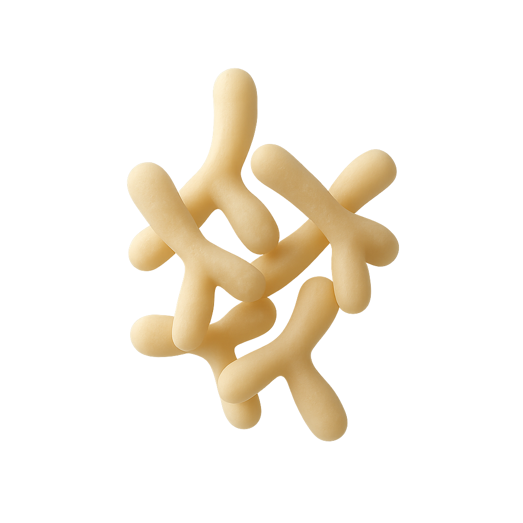 Bifidobacterium lactis B420