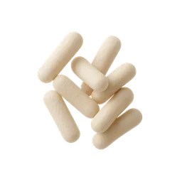 Bifidobacterium adolescentis