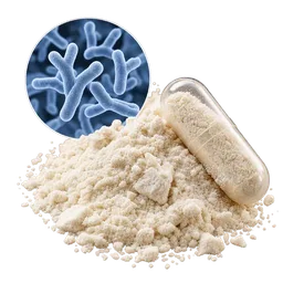 Bifidobacterium longum