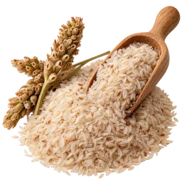 Blonde Psyllium