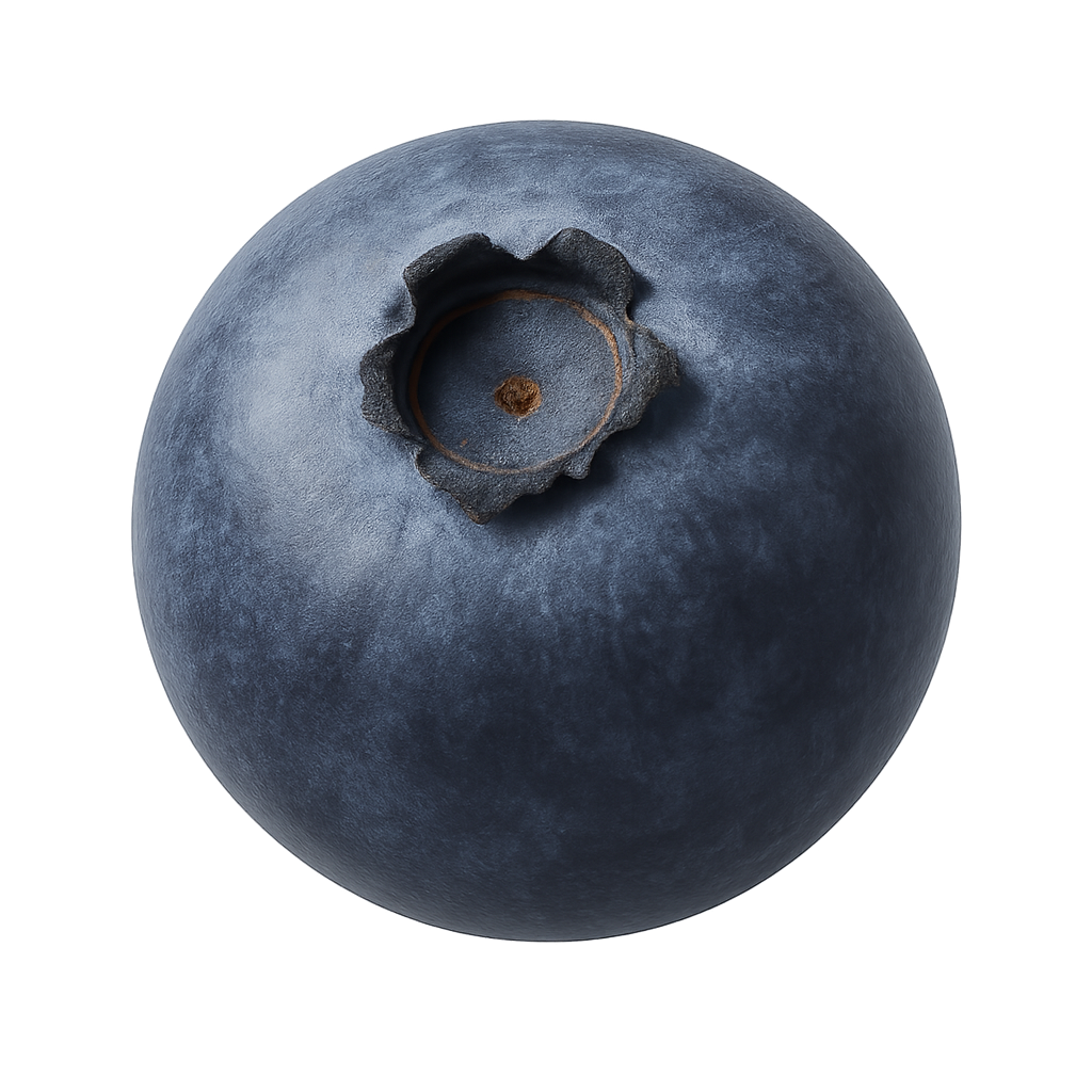Blueberry