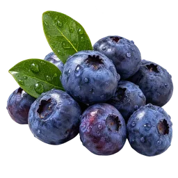 Blueberry (Vaccinium spp.)