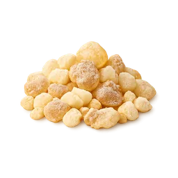 Boswellia