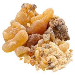 Boswellia