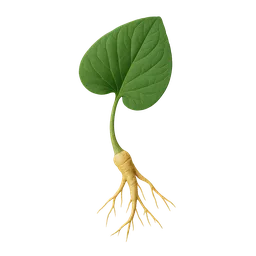 Botanical