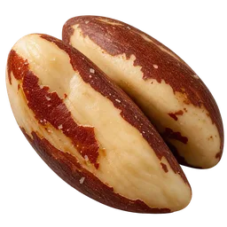 Brazil Nut