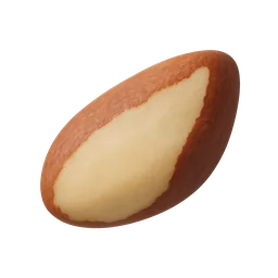 Brazil Nut