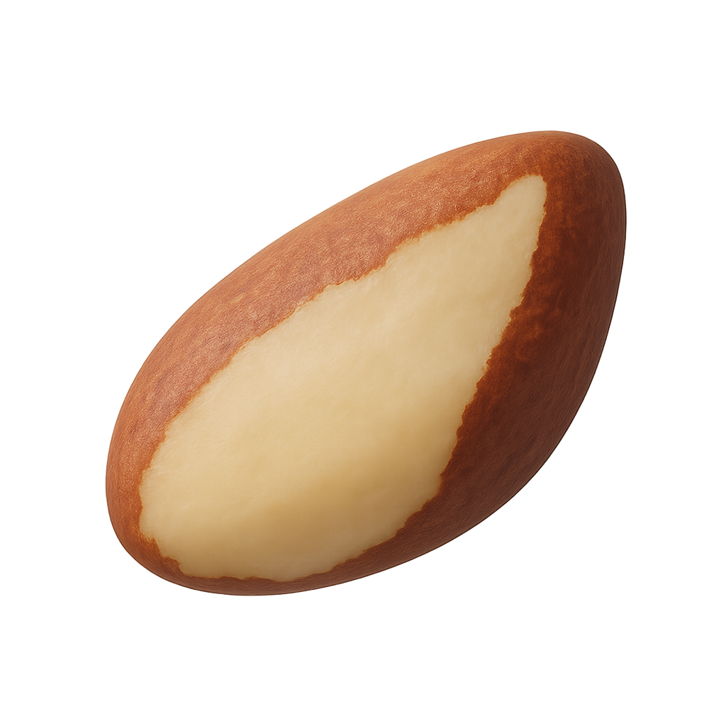 Brazil nut