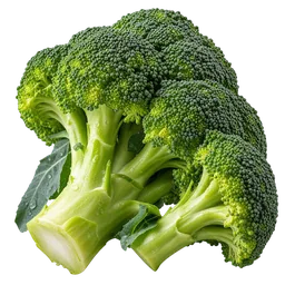 Broccoli Extract