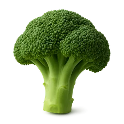 Broccoli
