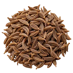Caraway