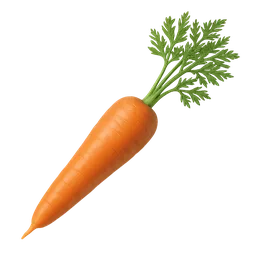 Carrot (root/whole)