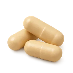 Ceramides
