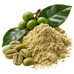 Chlorogenic Acid