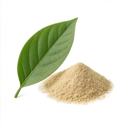 Chlorogenic Acid