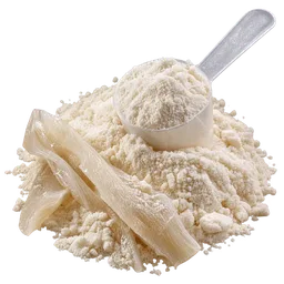 Collagen Peptides