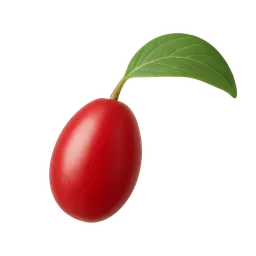 Cornelian Cherry