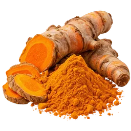 The Golden Paradox: When a Kitchen Spice Meets the Hard Edges of Science