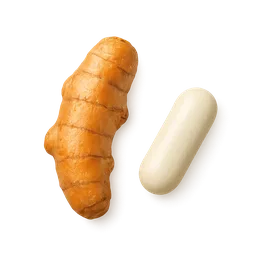 CurcuWIN