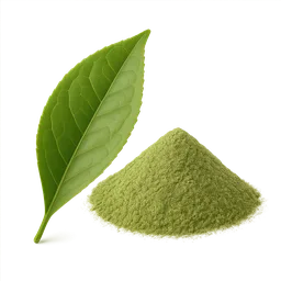 EGCG