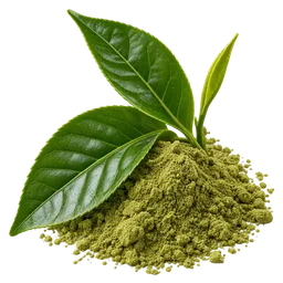 EGCG