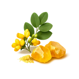 Fisetin