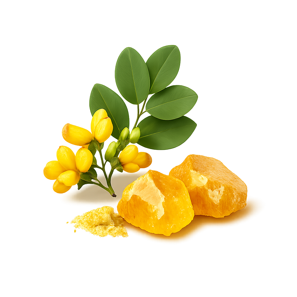 Fisetin