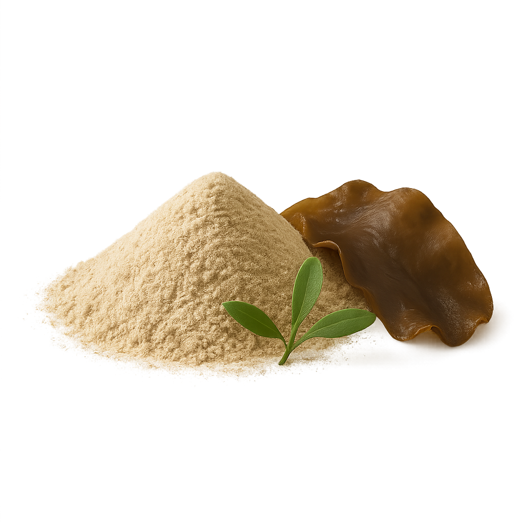 Fucoidan