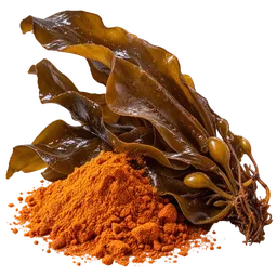 Fucoxanthin
