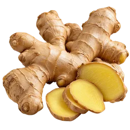 Ginger