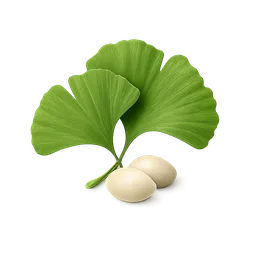 Ginkgo Biloba for Cognitive Impairment and Dementia: A Systematic Evidence Review