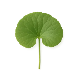 Gotu Kola