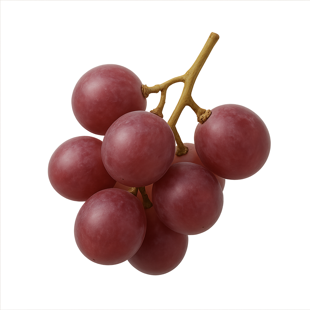 Grape Seed Extract