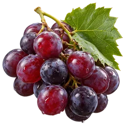 Grape Seed Extract