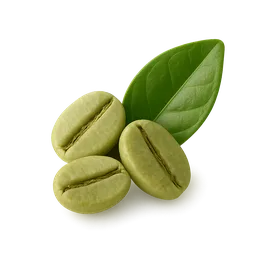 Green Coffee