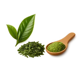 Green Tea for Metabolic Health: A Systematic Evidence Review