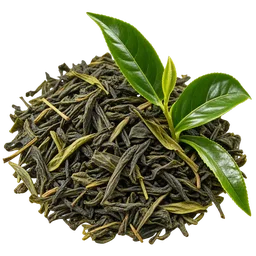 Green Tea for Metabolic Health: A Systematic Evidence Review