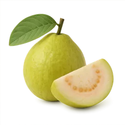 Guava