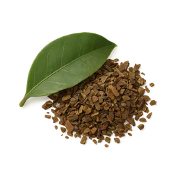 Guayusa