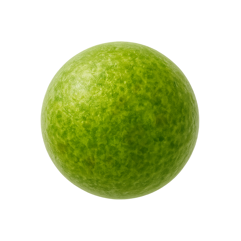 Haematococcus pluvialis