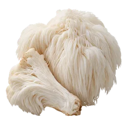 Hericium mushroom
