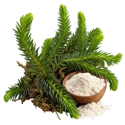 Huperzine A