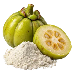 Hydroxycitric Acid (Garcinia Cambogia)