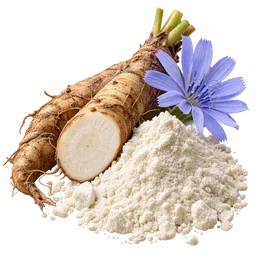 Inulin (Chicory Root Fiber)