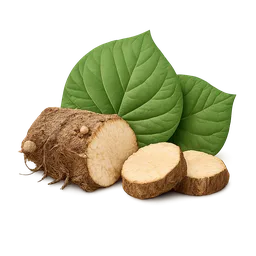 Kava kava