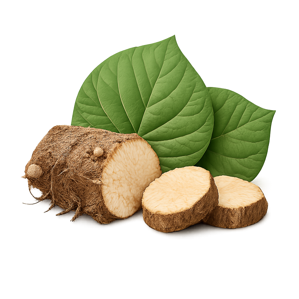Kava